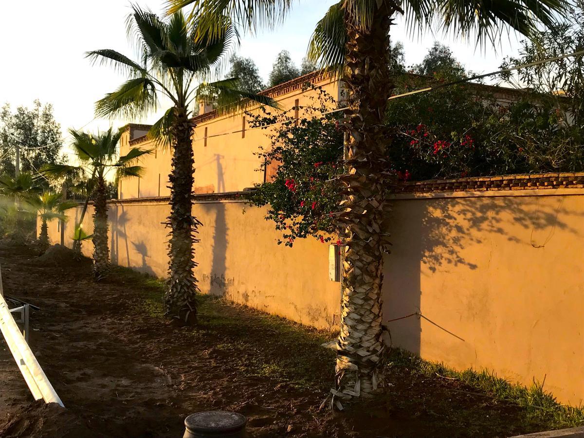 Palais Souad Villa Marrakesh Luaran gambar